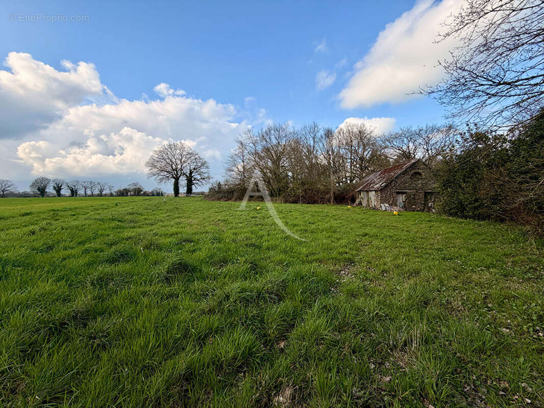 Terrain à NOZAY