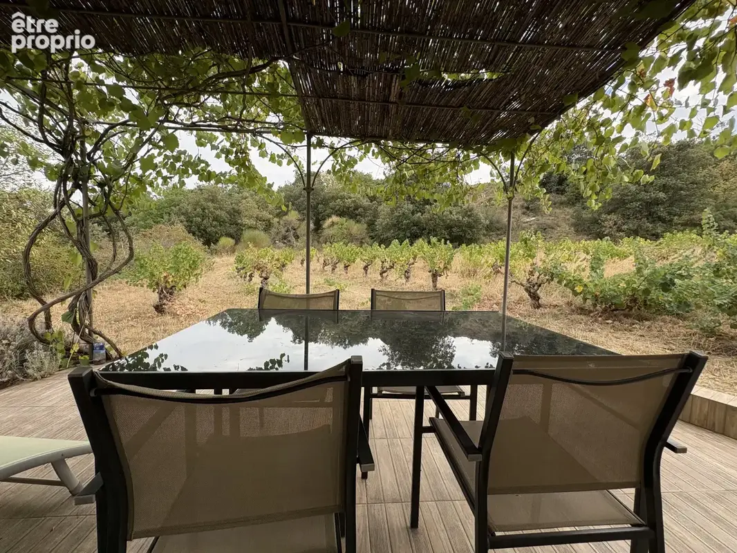 3 km de Limoux - Propriété avec appartement, dépendances et vigne - photo 8