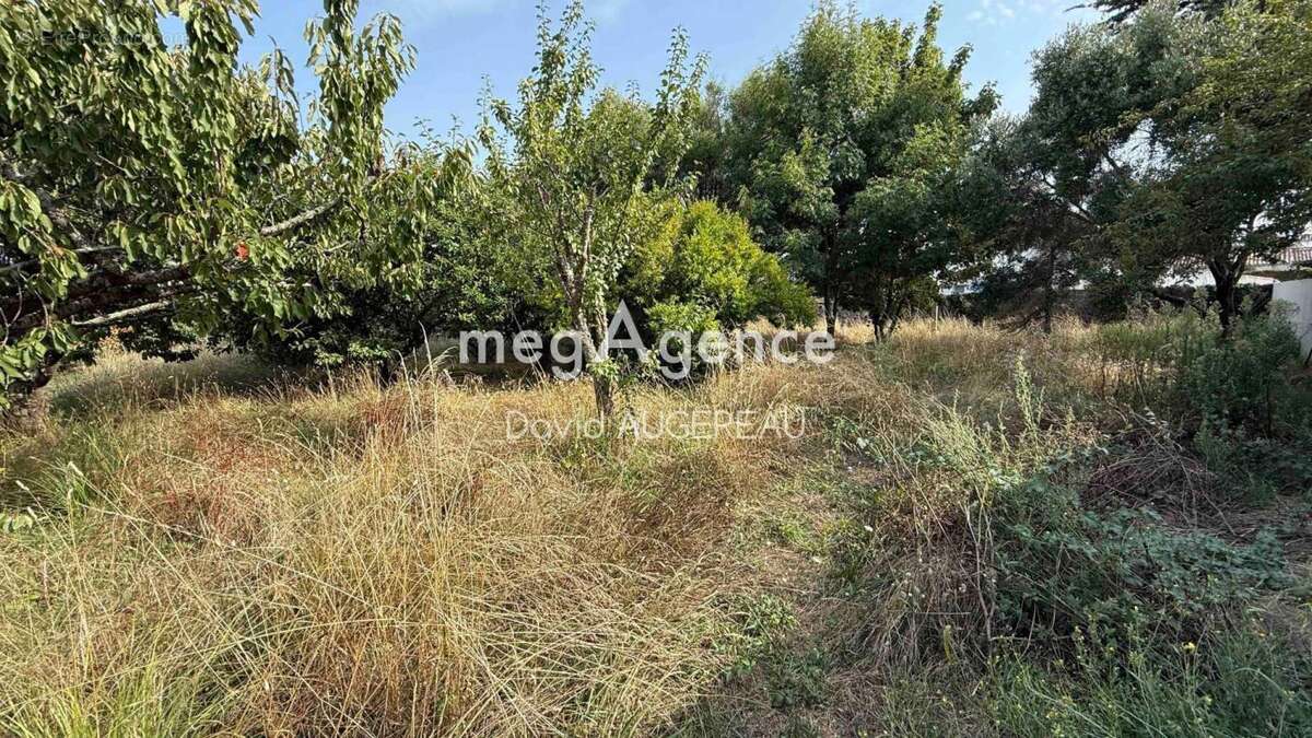 Terrain constructible arrière port, au calme en 3ème rideau de la rue - photo 2