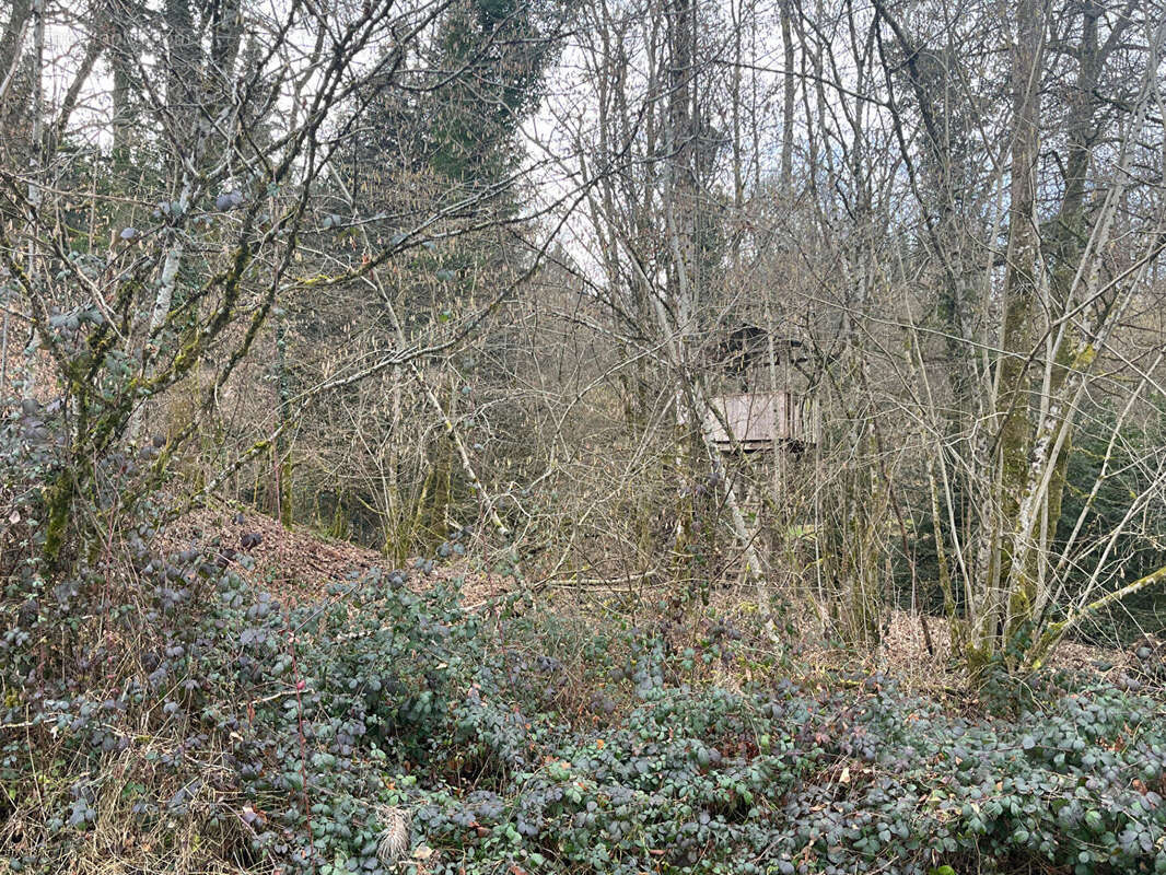 Maison à LE PONT-DE-BEAUVOISIN