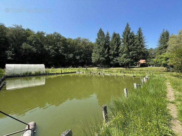Maison à LE PALAIS-SUR-VIENNE