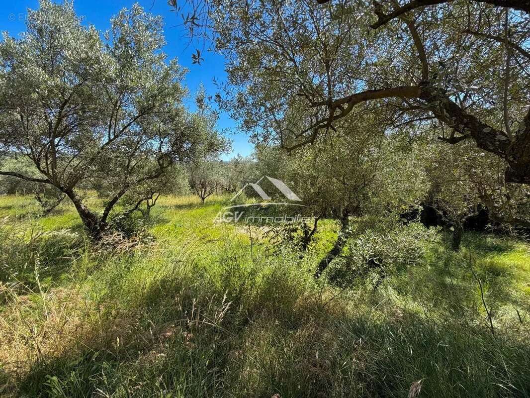Vue panoramique exceptionnelle – Maison de 165 m² sur 3 300 m² de terrain constructible - photo 22