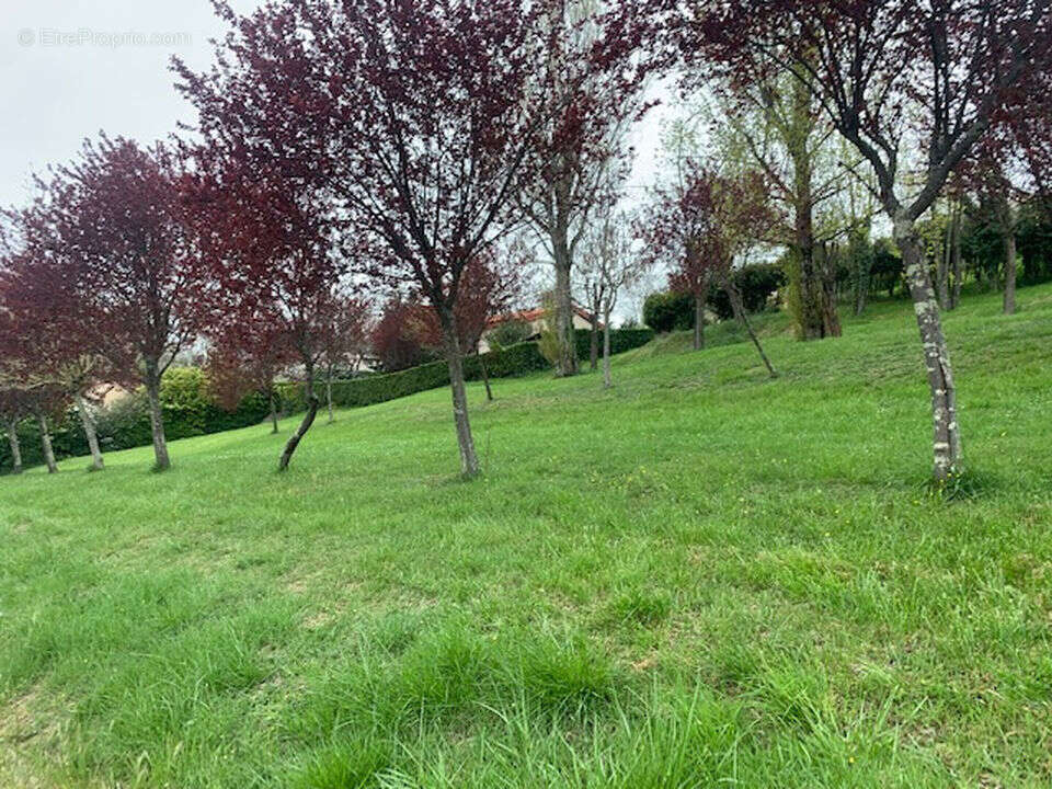 Terrain à MONTASTRUC-LA-CONSEILLERE