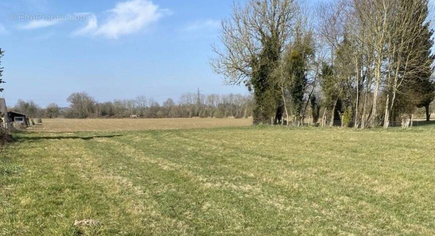 Terrain à MOYAUX