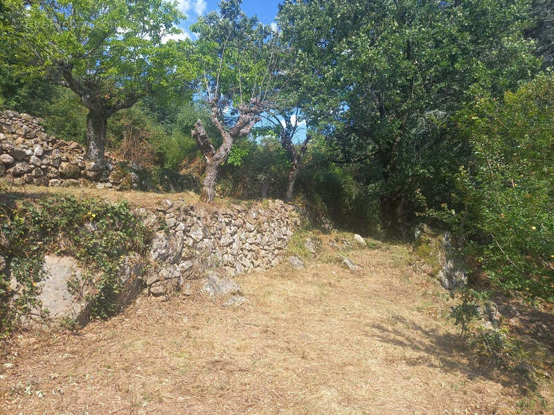 Maison à SAINT-MAURICE-EN-CHALENCON