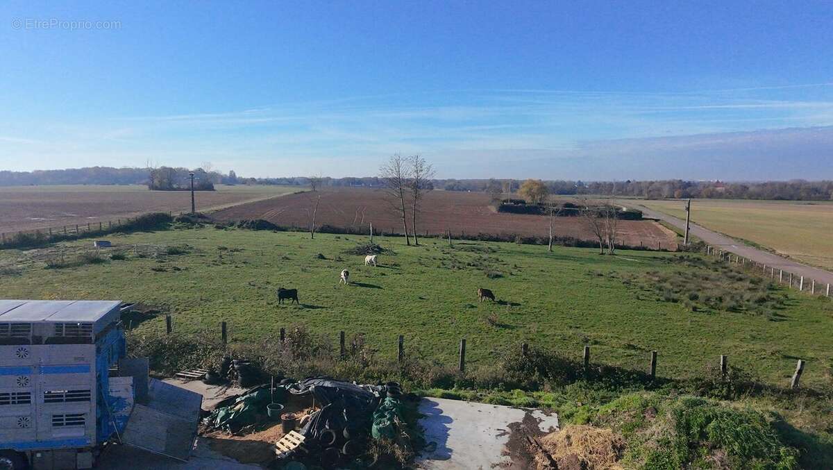 Commerce à SAINT-JEAN-DE-LOSNE