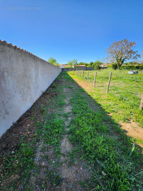 Terrain à LES MAGNILS-REIGNIERS
