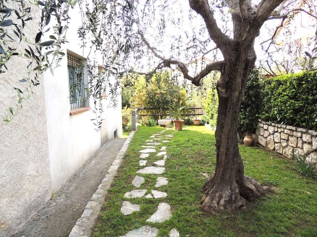 3 pièces de 60m2 - photo 13