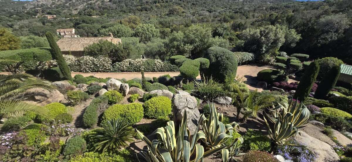 Maison à PORTO-VECCHIO