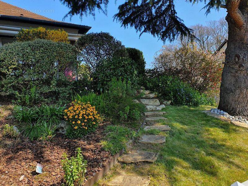 Maison à LE PLESSIS-TREVISE