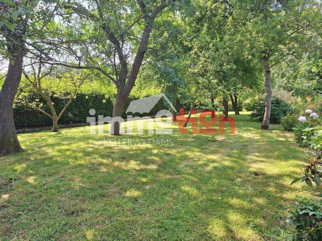 Maison à FRIVILLE-ESCARBOTIN