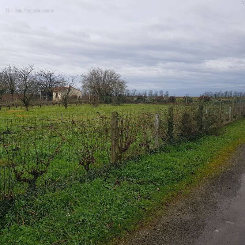 Terrain à SAINT-REMY