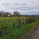 Terrain à SAINT-REMY