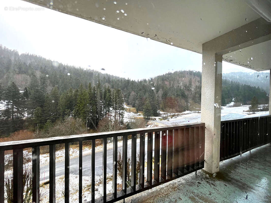 Appartement à LAVEISSIERE