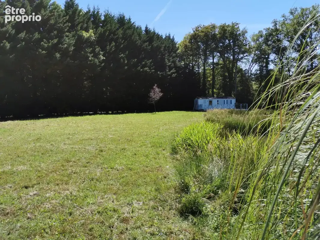 Terrain 11 000 m² à vendre à Dinge (35440) - photo 7
