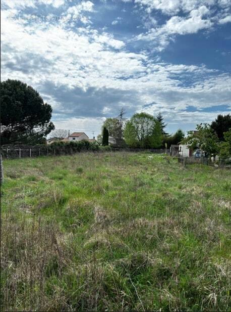 Terrain à BERGERAC