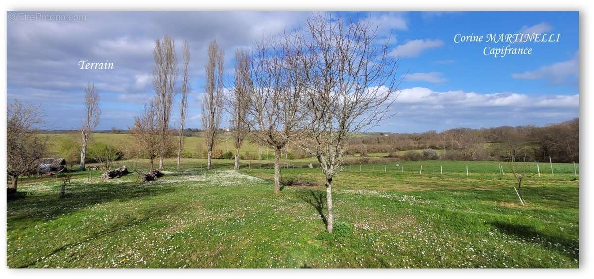 Ensemble de 2 maisons - Terrain 1.9 hectare - photo 19