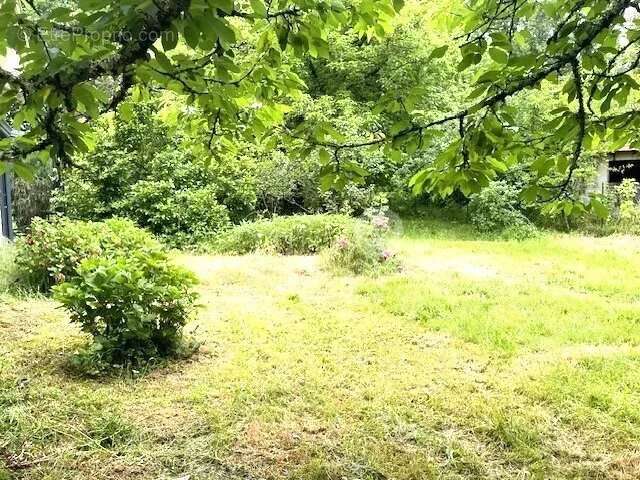 Maison à BLANQUEFORT