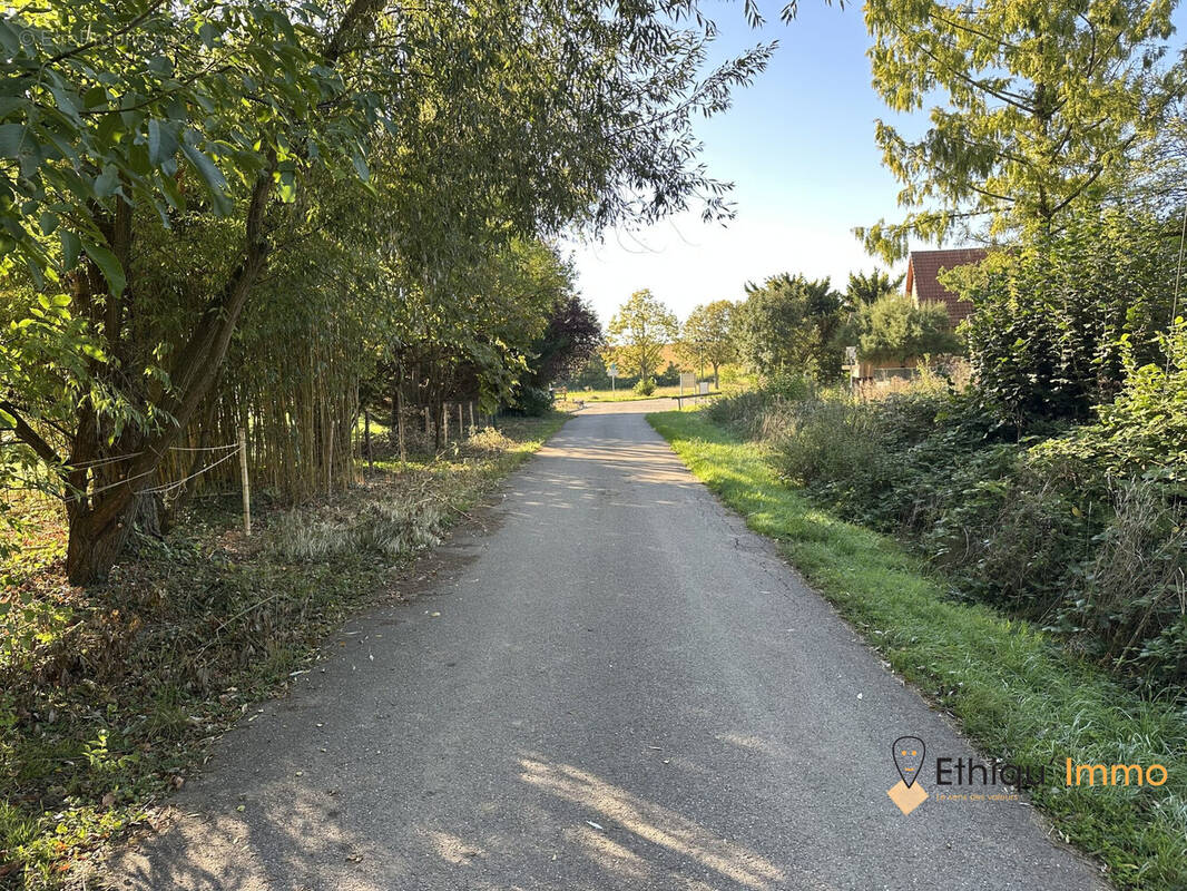 Terrain à NEUGARTHEIM-ITTLENHEIM