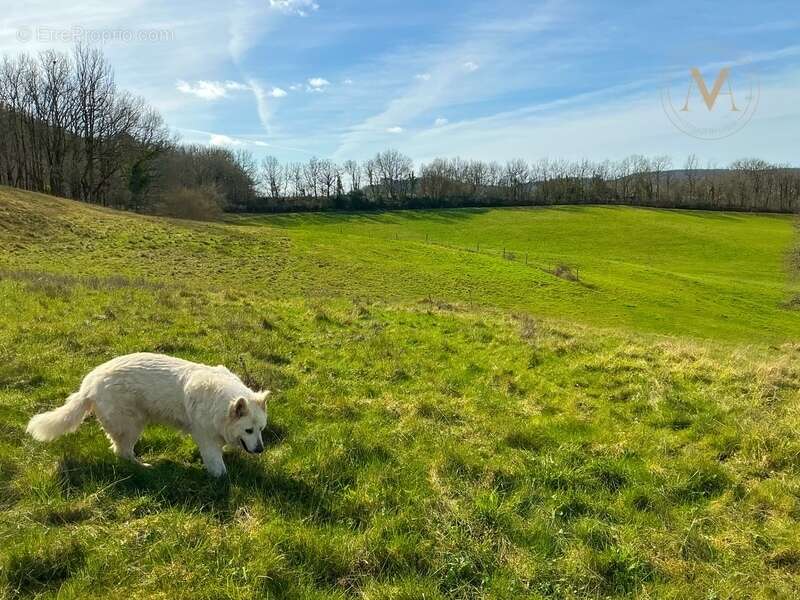 Maison à PENNE-D'AGENAIS