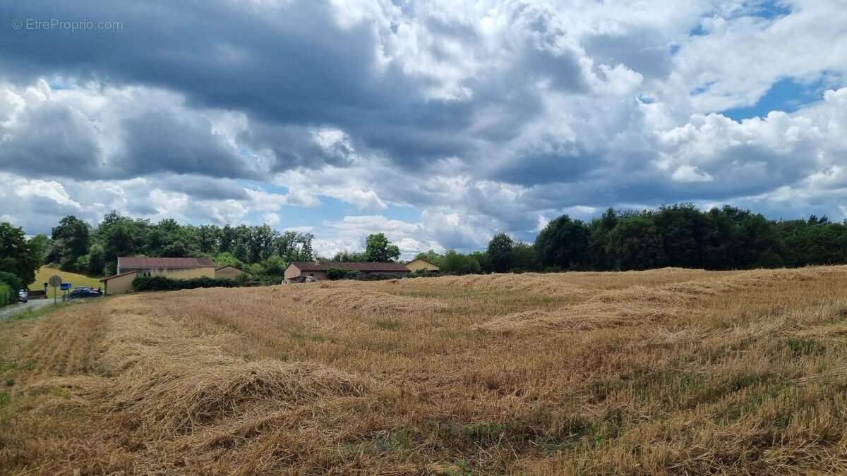 Terrain à Cendrieux - photo 4
