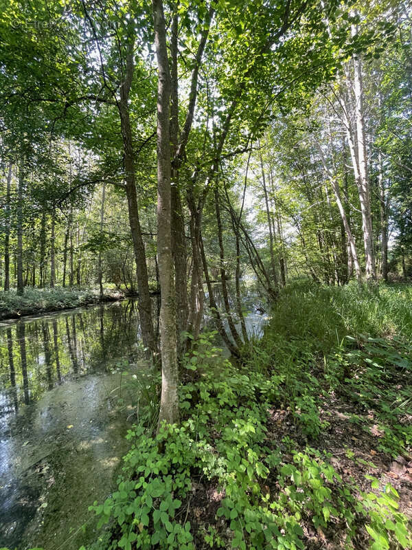 Terrain à FLIXECOURT