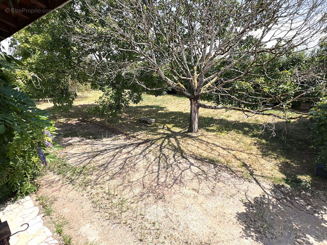 VONNAS : Charmante fermette avec dépendance aménageable et terrain constructible à Vonnas - photo 12