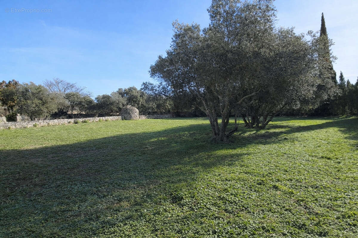 Terrain constructible avec borie - photo 6