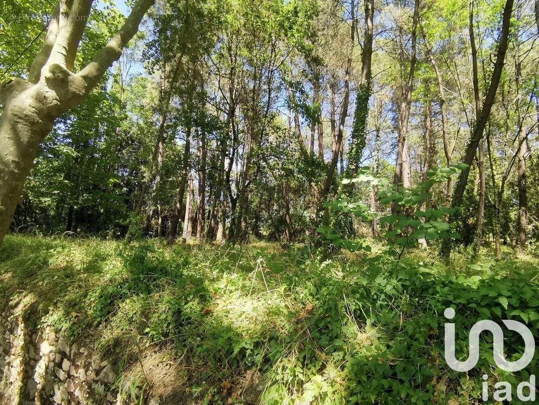 Photo 9 - Terrain à CENNE-MONESTIES