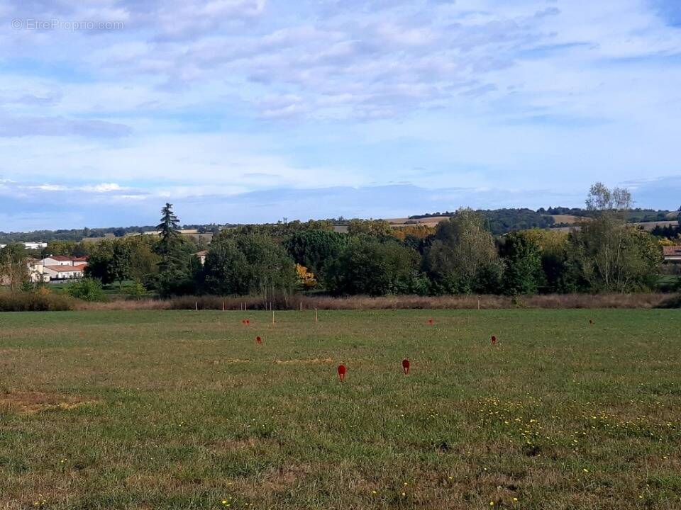 Terrain à VERFEIL