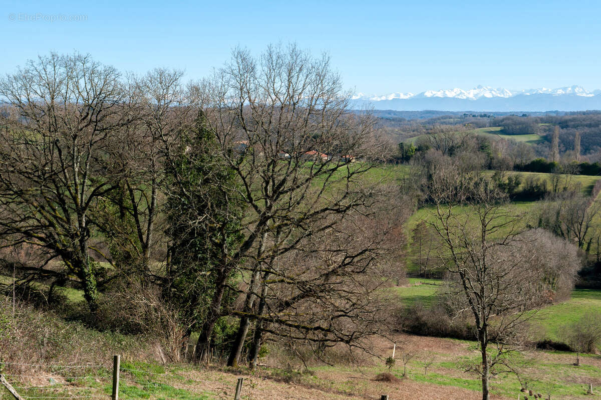 Propriété exceptionnelle, ferme ancienne rénovée, gîte, vue incroyable sur la chaîne des Pyrénées - photo 29