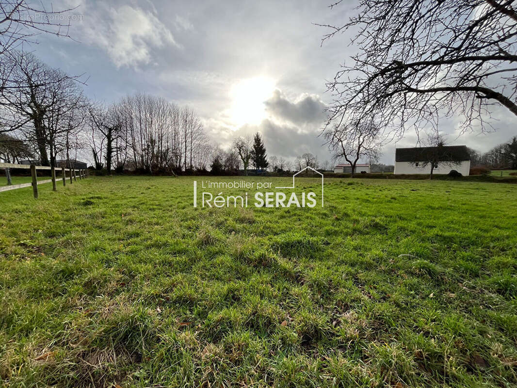 Terrain à PASSAIS