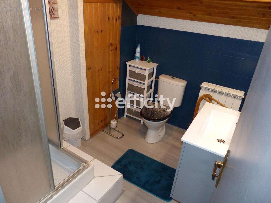 Maison à LE MALZIEU-VILLE