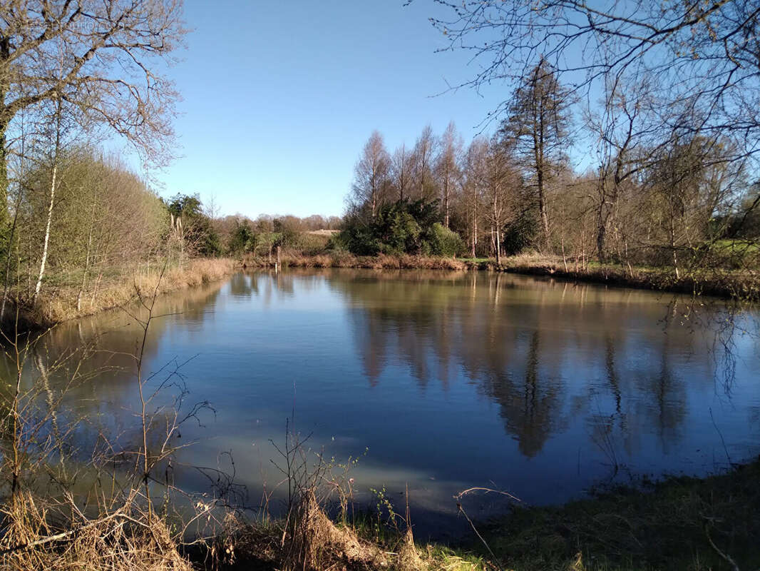 Terrain à MARCILLE-RAOUL