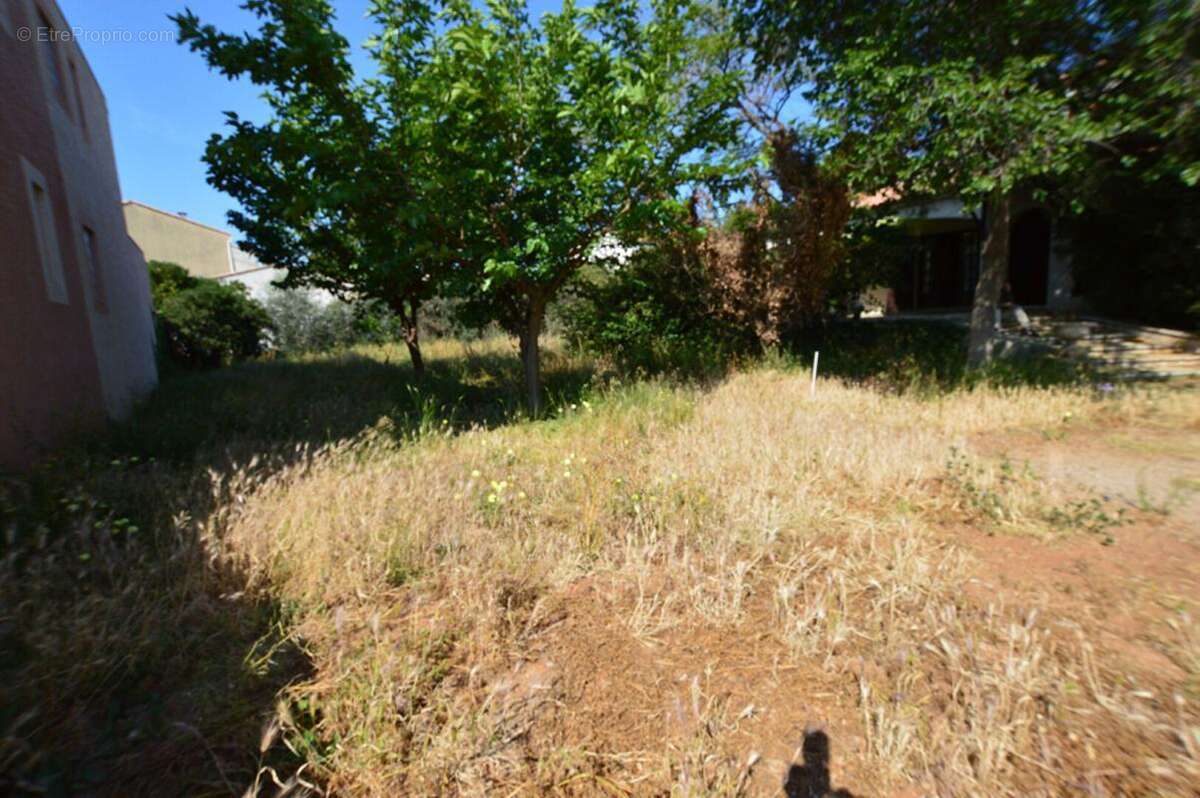 Terrain a bâtir, viabilise & libre de construction de 368 m² - photo 2