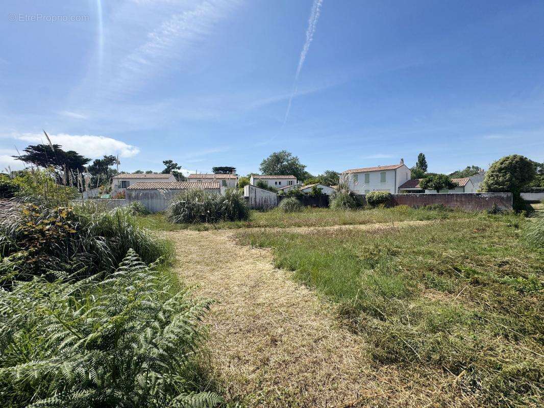 Terrain à LES PORTES-EN-RE