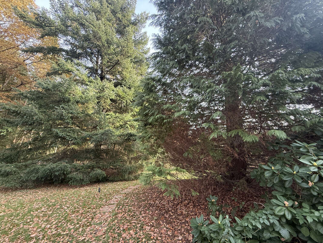 Maison à SAULCY-SUR-MEURTHE