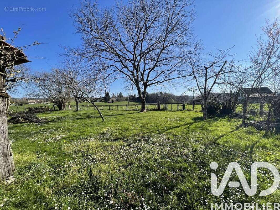 Maison 81 m² à Neuvic-Entier  - photo 8