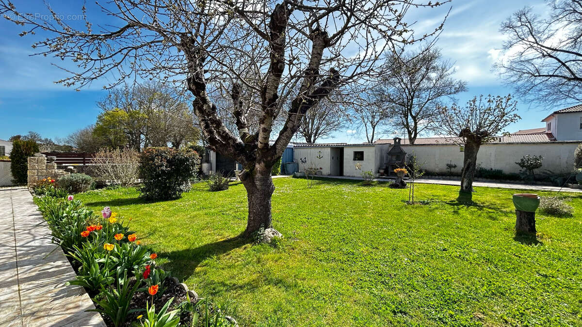 Maison à DOMPIERRE-SUR-MER