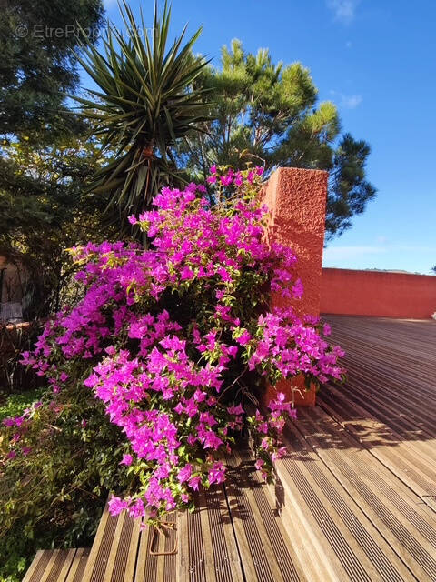 Port-Vendres : villa avec terrasse 3 pièces à acheter - photo 16