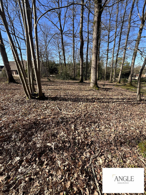 Terrain à FYE