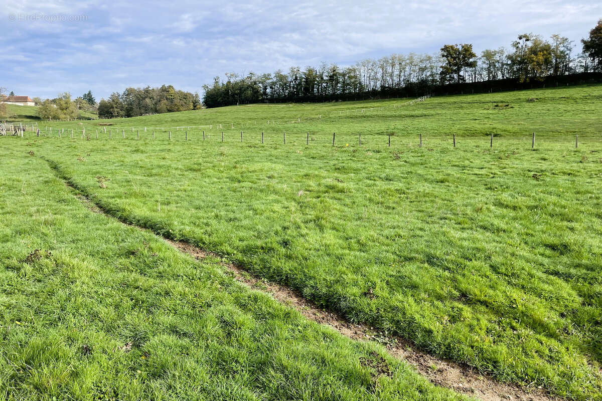 Terrain à VARENNE-SAINT-GERMAIN
