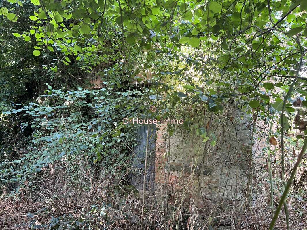 Maison à SAINT-PLANTAIRE