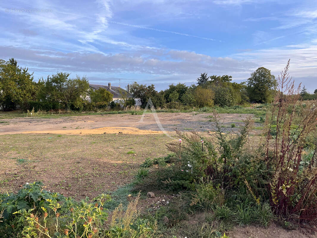 Terrain à LA MENITRE