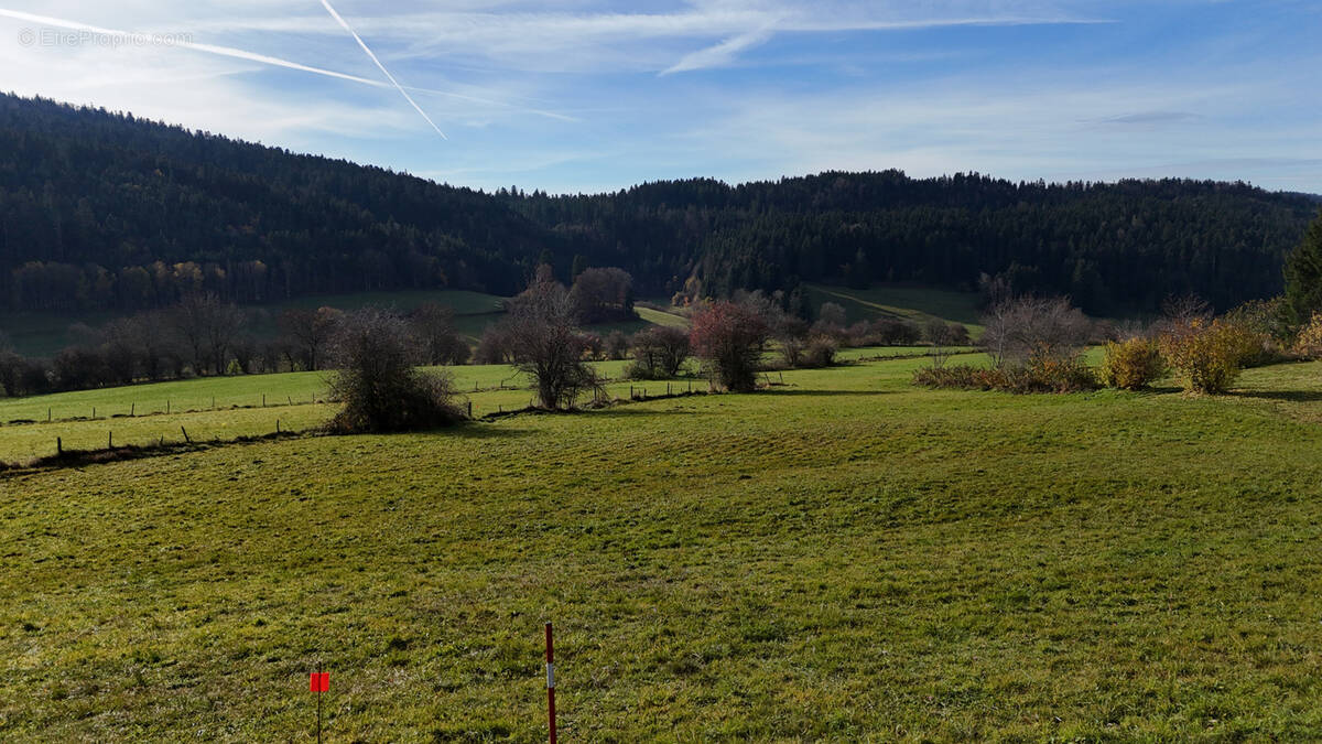 Terrain à FOURNETS-LUISANS