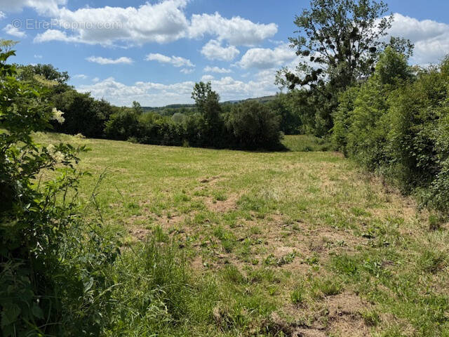 Terrain à SAINT-HILAIRE-LA-CROIX