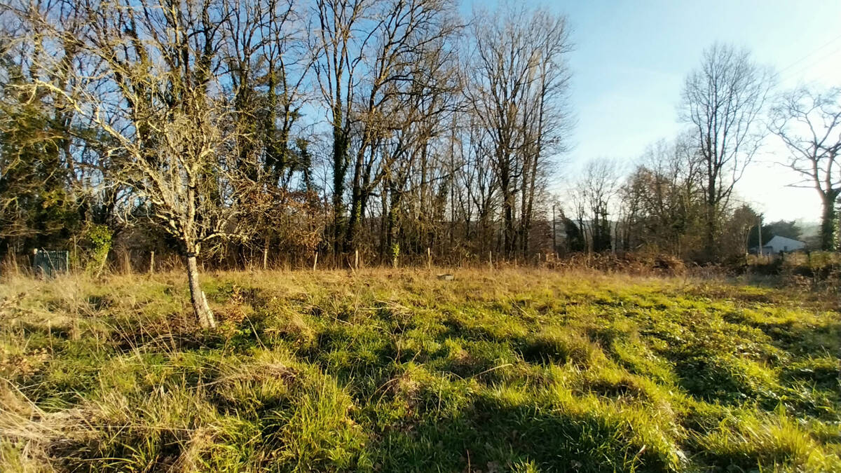Terrain à CHATEAU-L'EVEQUE