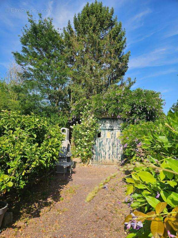 Maison traditionelle - photo 15