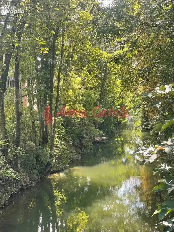 A Rénover Maison avec vue sur la Marne   Accès direct aux berges - photo 3