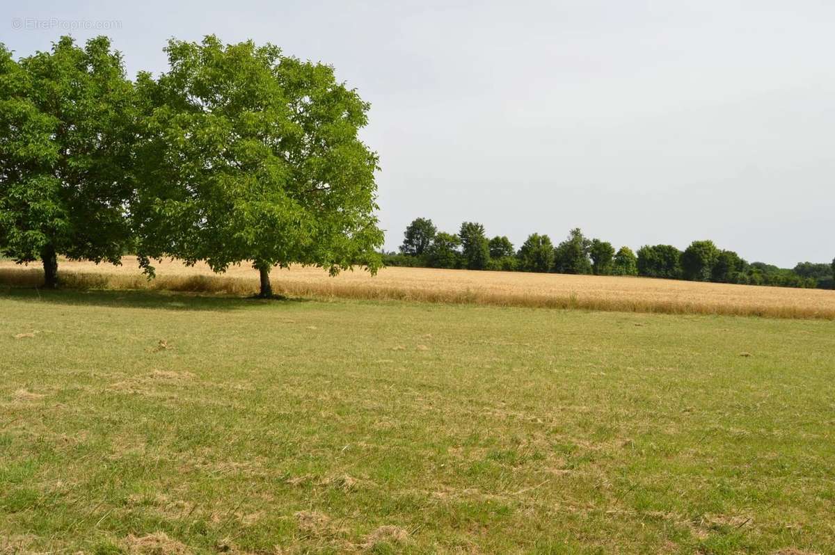 Maison à VILLEFAGNAN
